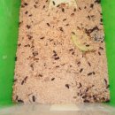 달성농장 이미지