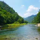 내리금봉캠핑장 이미지