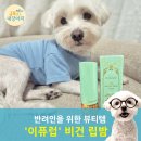 댕댕스토리 | 강아지가 핥아도 안전한 이퓨럽 무향 비건립밤 리뉴얼 사용 후기