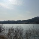 호수랑 오토캠핑장 네이버블로그