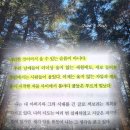 서울돈암초등학교 | 라면을 끓이며 책 후기 김훈 | 울지 않게 된 우리와 다시 피어나는 삶 추천 리뷰 핵심 요약