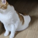 다나동물의료센터 이미지