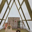 댕그라운드 이미지