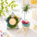 친환경 식물로 소품만들기 | 세종시 체험수업 추천! 발포세라믹 화분 만들기 친환경교육 &amp; 원데이 클래스 안내