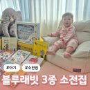 차차래빗 | 블루래빗 3종 세트 후기 언어발달 오감발달 두뇌발달 돌아기전집 리뷰