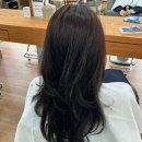 브이아이피(VIP) | [진주 미용실] 스탠바이미 헤어스튜디오 진주혁신점 (애쉬브라운 염색 후기)