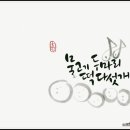 물고기두마리