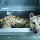 (주)림스 이미지