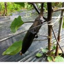 미수농장 이미지