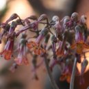 고양아람누리 아람극장 이미지