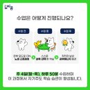 노피곰 네이버블로그