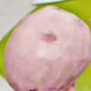 홍지농장 이미지