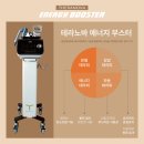 테라바디케어