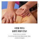 트루픽 | 러쉬 추천템 마사지바｜올데프 영서 픽 트루로맨스 직접 사봄