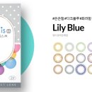 아이리스안경 이미지