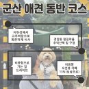 마을안관광코스 14코스 | 군산여행 강아지와 함께 하는 코스 추천! 애견동반식당,카페, 관광지와 무료주차장까지일정 후기.