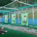 녹전초교 이미지