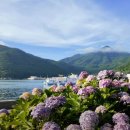 명사해수욕장 주차장 이미지