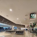 부산-대마도 2박3일 여행 2일차: 히타카츠항 → 미우다 해변 → 한국전망소 → 슈시강 단풍길 → 만관교...