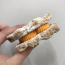 방화1동257 이미지