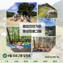 6.8(토)~9(일)/아름다운 정원 로미지안가든 숙박 &amp; 가리왕산 케이블카, 하이원 하늘길 샤스타데이지 신청하세요 이미지