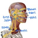 후에스테틱 - 충주시 | 후에스테틱