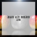 Dr. 한 치과의원 | 이젠 안녕! 제가 사랑니 발치한 이야기 천안치과 후기