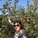 해오름농장-1 이미지