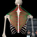 에이블짐 먹골역점 이미지
