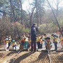 웅포 곰돌이 유아숲체험원 이미지