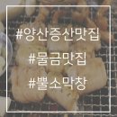 양산증산맛집 :: 물금맛집 뿔소막창 후기!