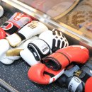 메이져복싱피트니스 이미지