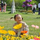 OK 꽃백화점 이미지