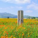 분황사주차장 이미지