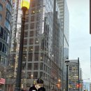 토로노 이미지