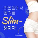 라온셀의원 이미지