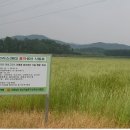 안병선농장 이미지