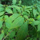 하산 농장 이미지