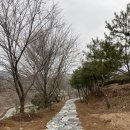 보성 녹차리조트 이용후기