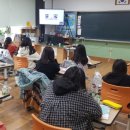 울릉초등학교 이미지