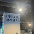 불도야지 이미지