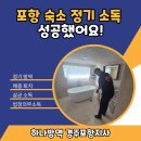대성공업주 | 포항 숙소 정기 소독 성공했어요!
