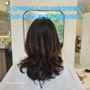 수유역 미용실 오브시아살롱 클리닉 후기 / 손상모 복구에 만족!