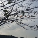 조박사민박 이미지