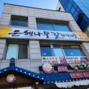 은행나무갈매기 이미지