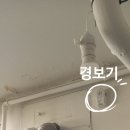 안암삼익아파트 앞 이미지