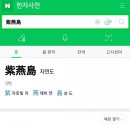 애니카랜드 영종점 이미지