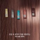 ARTE HAIR 이미지