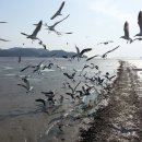 갯마을 펜션 이미지