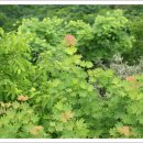 새벽항구 이미지